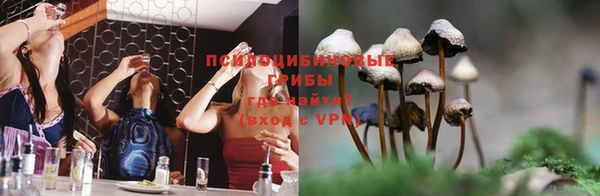 ГАЛЛЮЦИНОГЕННЫЕ ГРИБЫ Аркадак