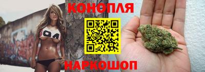 Альфа ПВП Ипатово