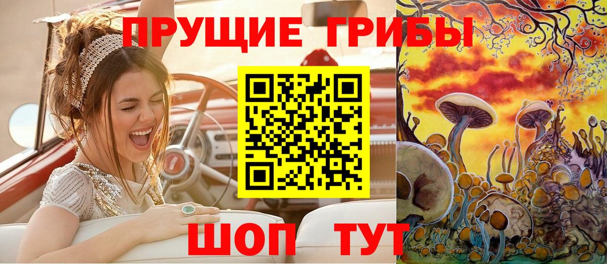 Новодвинск  Псилоцибиновые грибы GOLDEN TEACHER  Псилоцибиновые грибы Magic Shrooms  Вход с VPN 
