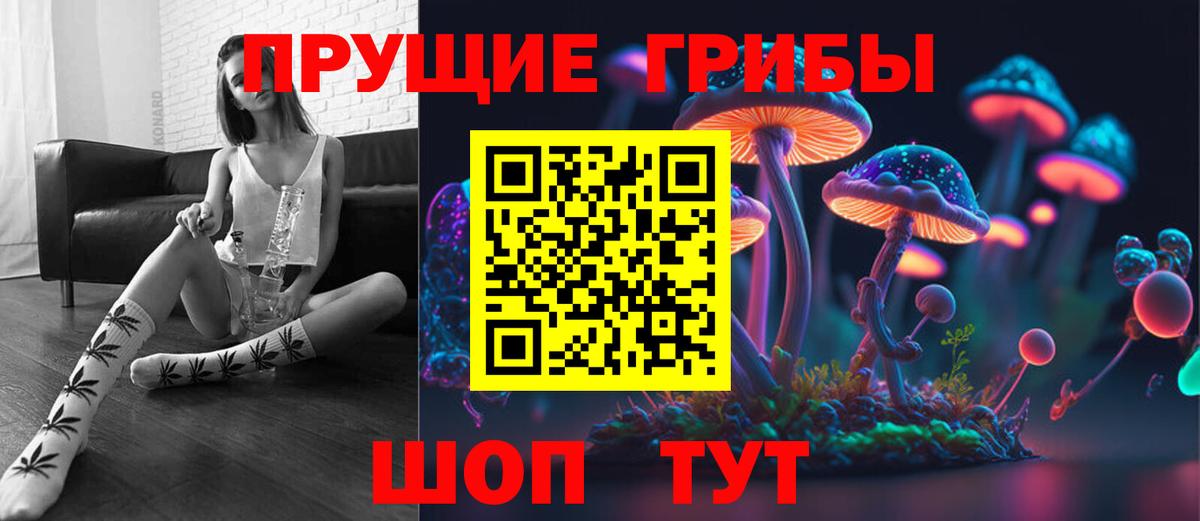 Псилоцибиновые грибы GOLDEN TEACHER Новодвинск